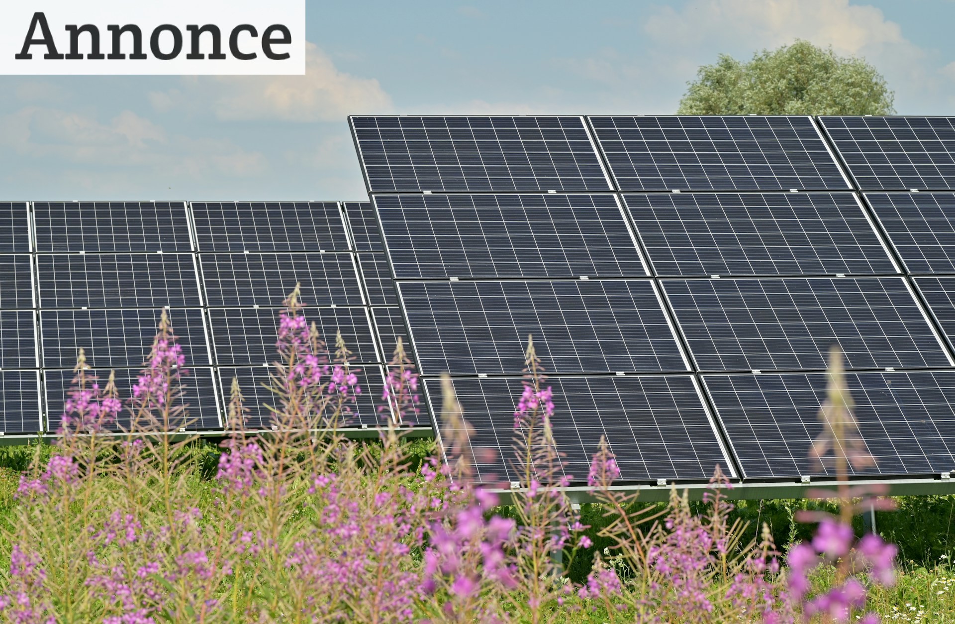 Fremtiden er Elektrisk: Markedsfør Din Virksomhed med Solceller og Elbil Ladere
